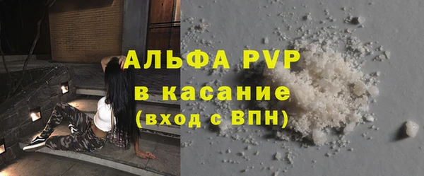 СК Алексин