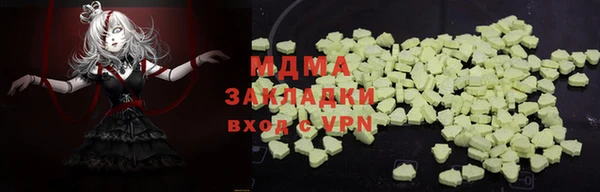 СК Алексин