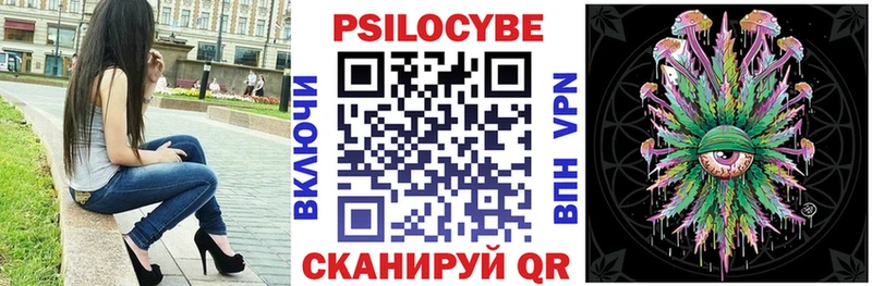 дарнет шоп  Лесной  Псилоцибиновые грибы мицелий 