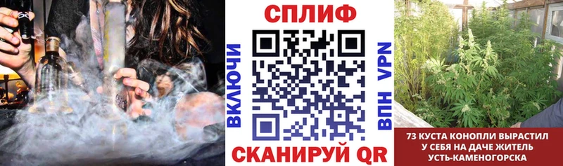 МАРИХУАНА THC 21%  купить   нарко площадка телеграм  Лесной 